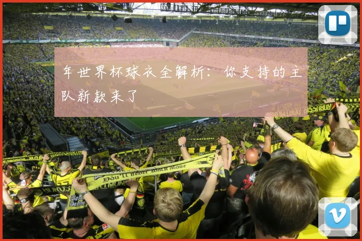 年世界杯球衣全解析：你支持的主队新款来了